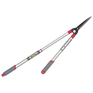 L{V V^A~ Lk ij #2021