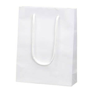 HEIKOiwCR[j uCgobO V OFc240×185×}`65mm 006138301 pi [ ML t@C 㐮  X W 6138301 i1}Cj 1801