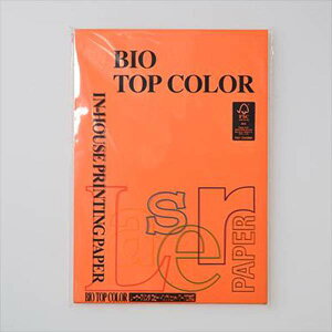 ɓ oCIgbvJ[ A4 100 80g 100 IW BT133 IW pi [ ML t@C 㐮 ItBX BT133 8891