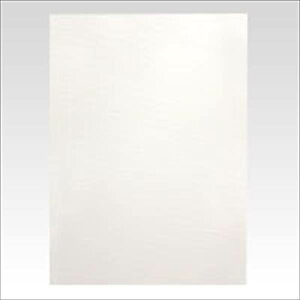 Ae j[J[{[h 5mm zCg A2 BP-5CB-A2-WH BP-5CB-A2-WH pi [ ML t@C 㐮  f Oc594×420×5mm 18216