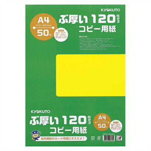 {m[g ԌRs[p A4 50 PPC120A4 pi [ ML t@C 㐮 ItBX PPC120A4 24247