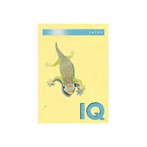 ɓ oCIgbvJ[ A4 500 80g 500 CG[ BT503 CG[ pi [ ML t@C 㐮 ItBX BT503 32227