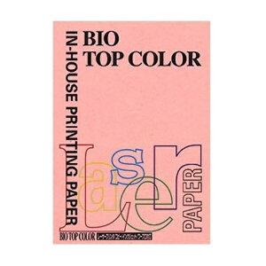 ɓ oCIgbvJ[ A4 100 80g 100 sN BT104 sN pi [ ML t@C 㐮 ItBX BT104 32228