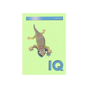 ɓ oCIgbvJ[ A4 500 80g 500 ~fBAO[ BT506 ~fBAO[ pi [ ML t@C 㐮 ItBX BT506 3223