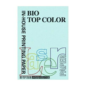 ɓ oCIgbvJ[ A4 100 80g 100 ~fBAu[ BT108 ~fBAu[ pi [ ML t@C 㐮 ItBX BT108 3223