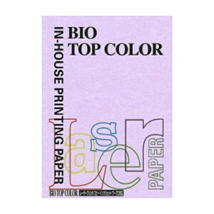 ɓ oCIgbvJ[ A4 100 80g 100 x_[ BT110 x_[ pi [ ML t@C 㐮 ItBX BT110 3224