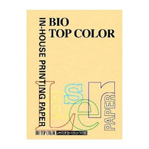 ɓ oCIgbvJ[ A4 100 80g 100 T[ BT115 T[ pi [ ML t@C 㐮 ItBX BT115 32248