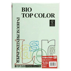 ɓ oCIgbvJ[ A4 50 120g 50 ~fBAO[ BT306 ~fBAO[ pi [ ML t@C 㐮 ItBX BT306 3227