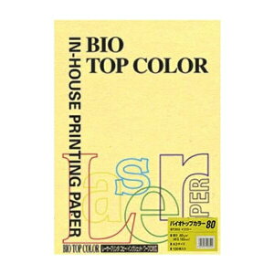 ɓ oCIgbvJ[ A3 100 80g 100 CG[ BT203 CG[ pi [ ML t@C 㐮 ItBX BT203 32320