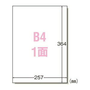 G[ xV[ iv^pj }bg m[Jbg^Cv 100 B41 28423 pi [ ML t@C 㐮 ItBX 28423 37318