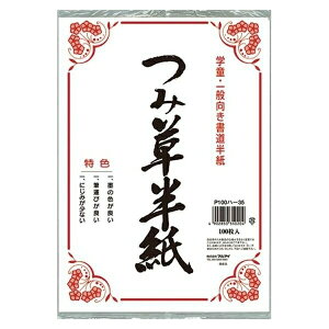 }AC ݑ 100 P100n-35 pi [ ML t@C 㐮 wK c  P100n-35 47850