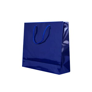 HEIKOiwCR[j uCgobO VR OFc300×330×}`100mm 006137919 pi [ ML t@C 㐮  X W 6137919 i1}Cj 62385