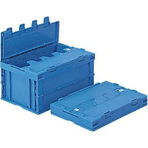 TR[iObj IR t^t  530×366×289mm e:41.7bg TNbgIRP41B pi [ ML t@C 㐮 ItBX TNbgP41B 63181