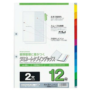 }} ~l[g^uA4^e^CfbNX 2 i⋭^j 1g LT4212 pi [ ML t@C 㐮 ItBX 70207