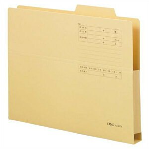 FAMSit@Xj otH_[J[ A4R^ CG[ 10 219319 pi [ ML t@C 㐮 ItBX 70256