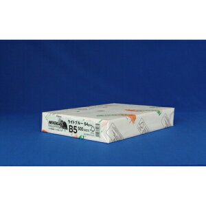 kzIB NEWt@CJ[ B5 500 NEWt@CJ[B5Cgu[