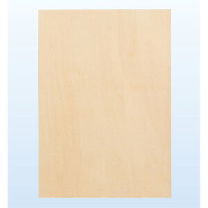 A[ebN plA[g A4 13075