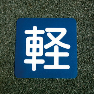 AgnEXyCg tATC y 40cm×40cm 4971544036885 Hʕ\ \t ȒP V[ AXt@g ˍ