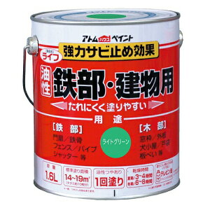 AgnEXyCg CtiSEؕpj 1.6L CgO[ 4971544003399 S tFX  SKi Tr K yL