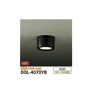 �y���[�J�[�����z����d�@ �����V�[�����O���C�g DOL-4070YB