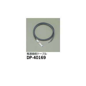 【メーカー直送】大光電機 延長用ケーブル DP-40169
