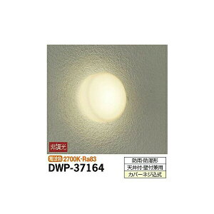 �y���[�J�[�����z����d�@ �A�E�g�h�A���C�g DWP-37164