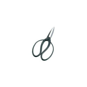 EBM |p nT~ nv 4255200