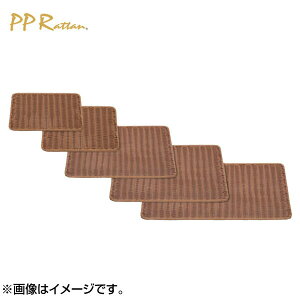 EBM �p���g���[ �u���E�� 60�^ BB-820-BR 5421870