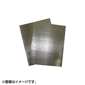 EBM ۗEۉV[g GXP[N[ Vo[i10j 6142080