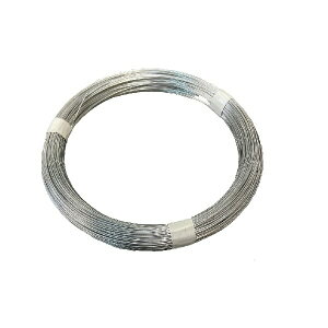 tWebNEWp jNj 10M #16x10M 19753