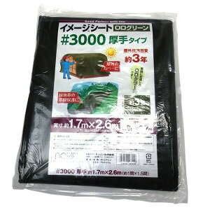 yyz #3000 C[W ODO[V[g 1.8X2.7 4979260483129