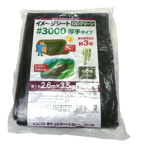 yyz #3000 C[W ODO[V[g 2.7X3.6 4979260483136