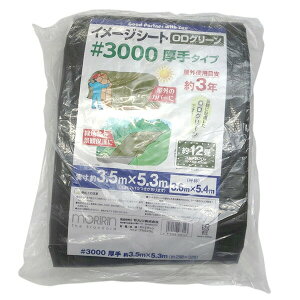  #3000 C[W ODO[V[g 3.6X5.4 4979260483143 sogyo2024 O h u[V[g | _ h Βn i 3000ODG3654