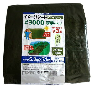 yyz #3000 C[W ODO[V[g 5.4X7.2 4979260483150