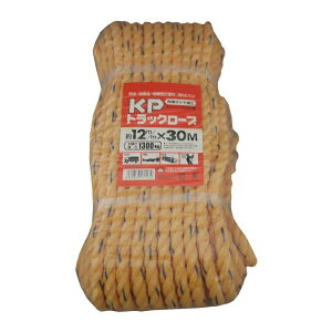 AClbg PViKPjgbN[v 12MMX30M 4960839171134 gbN [v KP PV rj |GXe 