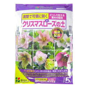 Ԃ NX}X[Y̓y 5L 4977445076005