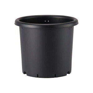 AbvEFA[ e10 ubN 4905980979086 v e