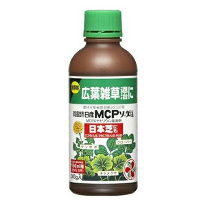 ZFw| ƒ뉀|pYMCP\[_ 300g 4975292071525