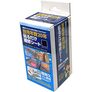 ZmnEXp Rh~ \邾CV[g Fast Flash ϗpN20N RCe[v CV[g  C O JR x_ Ђъ C  DIY R C  pCv 