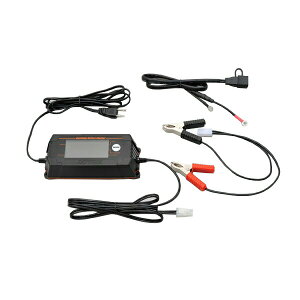 DAYTONAifCgij fBXvCobe[`[W[ 91875 4909449461426 91