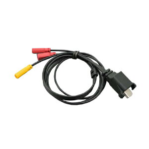 DAYTONA(デイトナ) Type-C スピーカーケーブル (DT-E1専用補修部品) 15124 DT-E