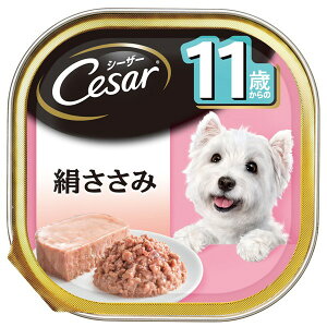 }[XWp~ebh V[U[ 11΂  100g CE66N  t[h EFbg g[ gC h{H  t[h EFbg g[ gC h{H CE66N