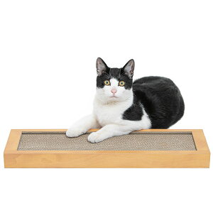 ybgvWp Happy Days S~oɂ߂ƂVO 0724190756669 L  ߋ ߂݂ ܂݂ ܖ ܂Ƃ L  ߋ ߂݂ ܂݂ ܖ ܂Ƃ