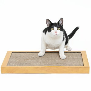 ybgvWp Happy Days S~oɂ߂Ƃ_u 0724190756676 L  ߋ ߂݂ ܂݂ ܖ ܂Ƃ L  ߋ ߂݂ ܂݂ ܖ ܂Ƃ