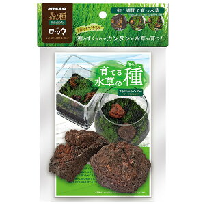 }J Ă鐅̎ Xg[gwA[&bN NAW-183  ANAE   琬 Ă Lbg Zbg Xg[gwA[bN ANAE   琬 Ă Lbg Zbg 