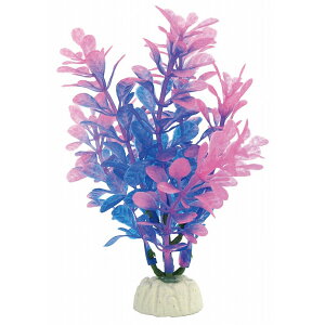 }J ~iXvc S-1 NAP-190  ANAE ANZT[ IuWF    ANAE ANZT[ IuWF   NAP-190