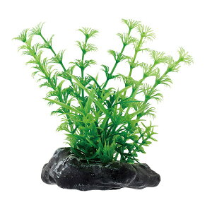 }J gK[fMini 1 NAP-580  ANAE ANZT[ IuWF    ANAE ANZT[ IuWF   NAP-580