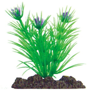 }J ANAeBbNvc SS-5 NAP-304  ANAE ANZT[ IuWF    ANAE ANZT[ IuWF   NAP-304