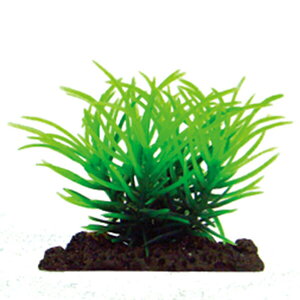 }J ANAeBbNvc SS-8 NAP-307  ANAE ANZT[ IuWF    ANAE ANZT[ IuWF   NAP-307