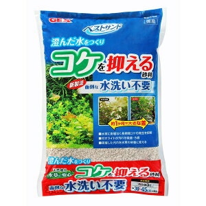 xXgTh 3L 4972547023476 ANAE  ꍻ   RP  [ICg ANAE  ꍻ   RP  [ICg